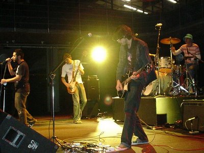 los porongas