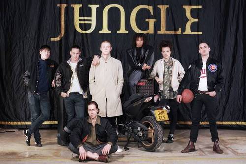 Banda Jungle