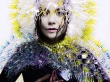 Bjork 2015