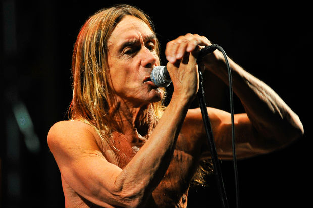 Iggy Pop punk rock rules